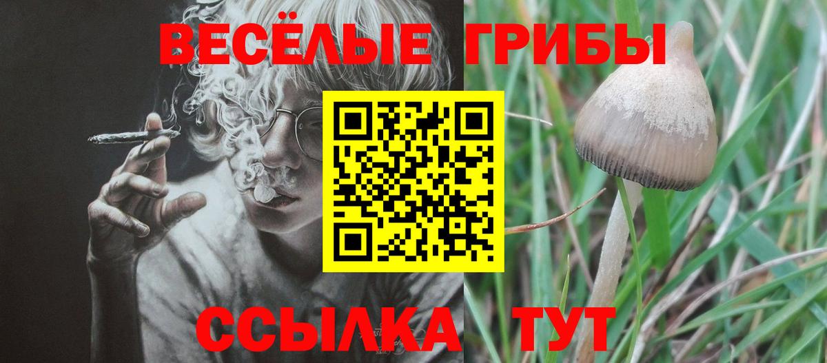 Череповец  Галлюциногенные грибы GOLDEN TEACHER  Вход с VPN  Псилоцибиновые грибы Psilocybe 
